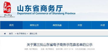 德州再添電商新星 某縣躋身省級示范，雙十一交易額突破三千萬