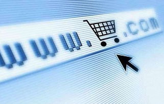 我市新出臺(tái)激勵(lì)措施，力促電子商務(wù)平臺(tái)開(kāi)發(fā)與運(yùn)營(yíng)發(fā)展